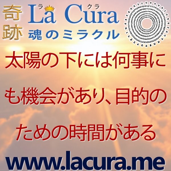 11293 太陽の下には何事にも機会があり 目的のための時間がある.jpg